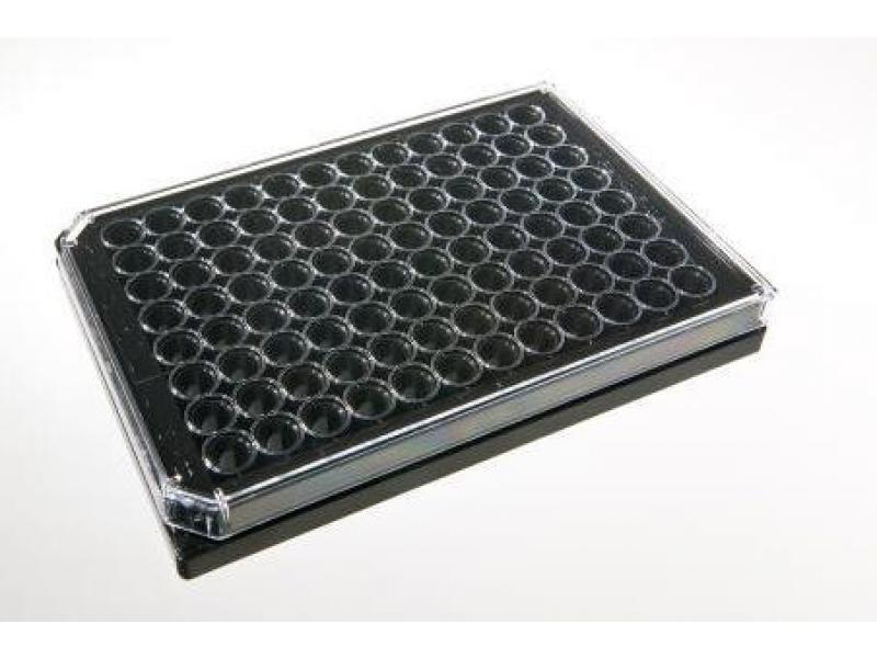 e Otsuka Physical Structure オリジナル Advanced BioMatrix - CytoSoft™ Imaging, 96-Well Plates (0.2